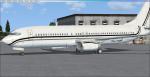 Default Boeing 737-800: N314DF Private Livery Black and Grey stripes Textures